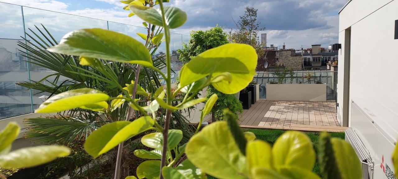 150m2 And A 45m2 Terrace At 8th Floor With Air Conditioning